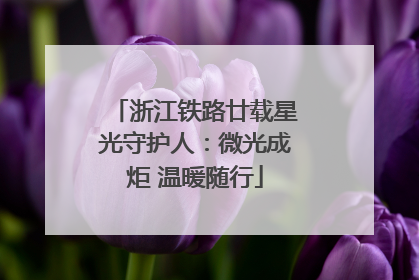 浙江铁路廿载星光守护人：微光成炬 温暖随行